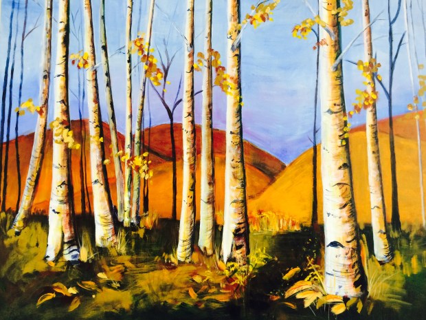 l-birchtrees3-40x30acr